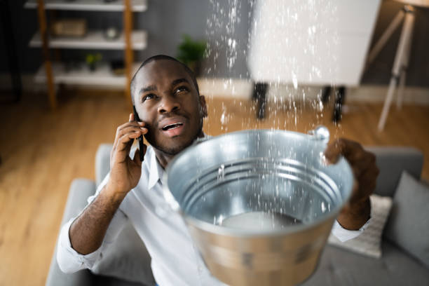 Best Ceiling water damage repair  in Kirby, TX