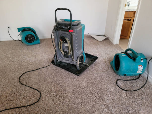 Water damage restoration insurance claims in Kirby, TX