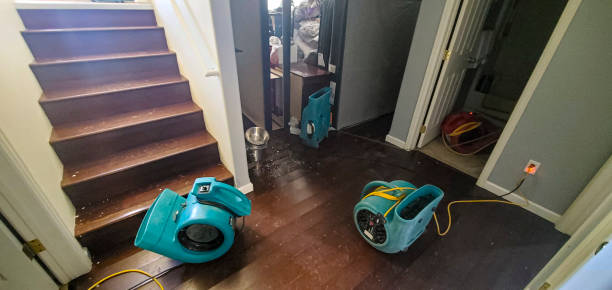 Best Flood restoration services  in Kirby, TX
