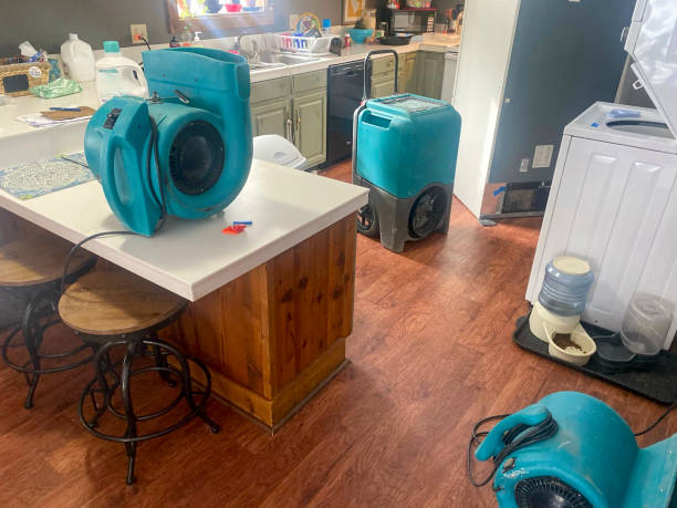 Best Water damage restoration mold remediation  in Kirby, TX