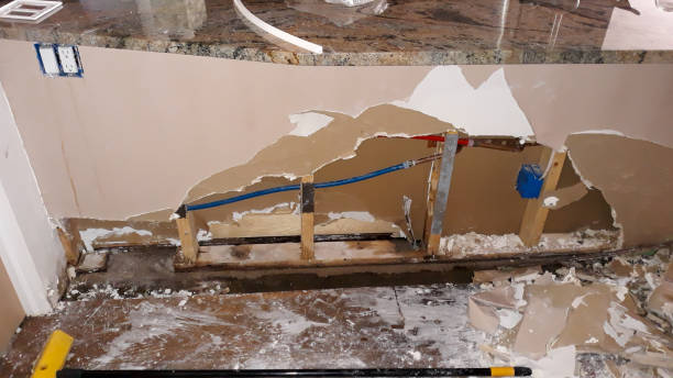 Best Ceiling water damage repair  in Kirby, TX