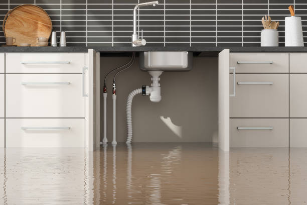 Best Flooded house restoration  in Kirby, TX