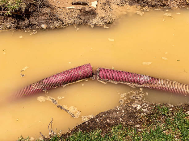 Professional Water damage restoration in Kirby, TX